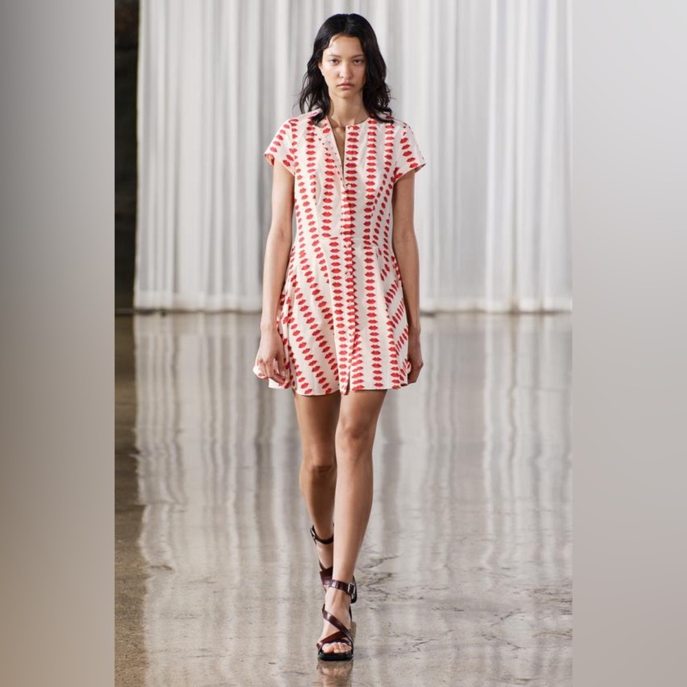 NWT ZARA ZW COLLECTION SKATER PRINTED DRESS